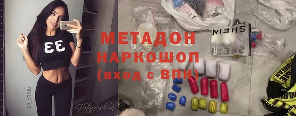 гашик Алексин
