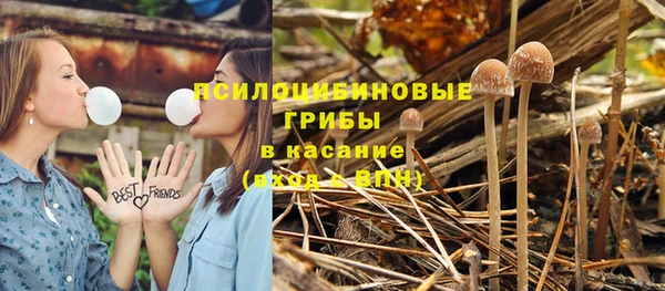 соль курить ск Алзамай