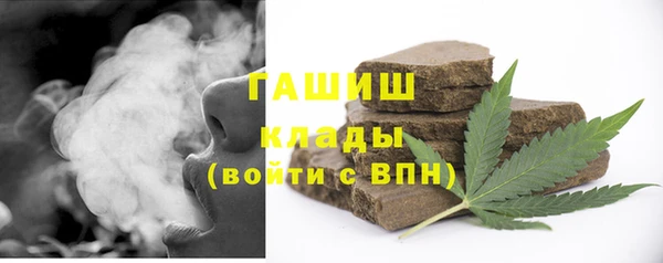 гашик Алексин