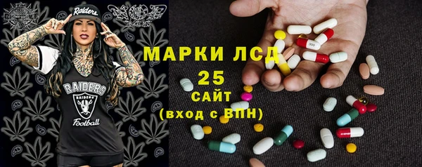 гашик Алексин