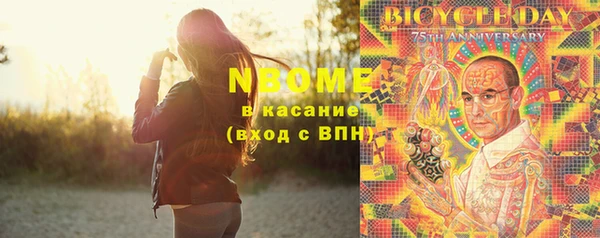 гашик Алексин