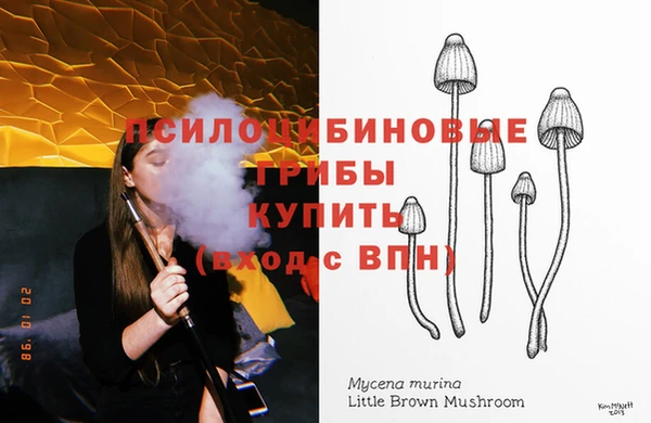 соль курить ск Алзамай